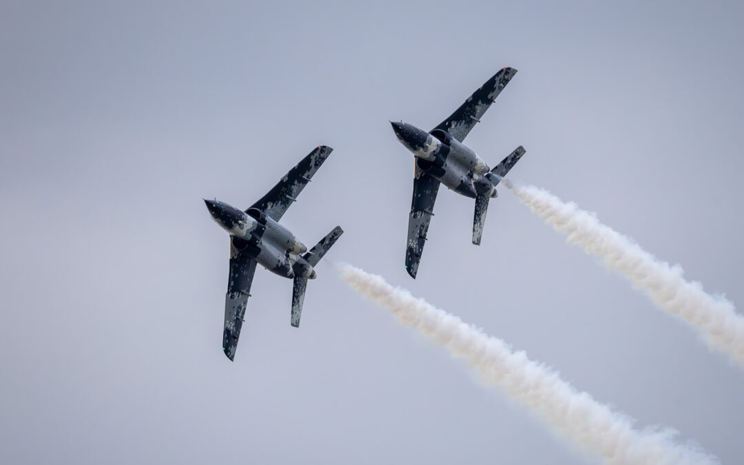 _F6A4011_Canon EOS R6m2_RF200-800mm F6.3-9 IS USM-Enhanced-NR