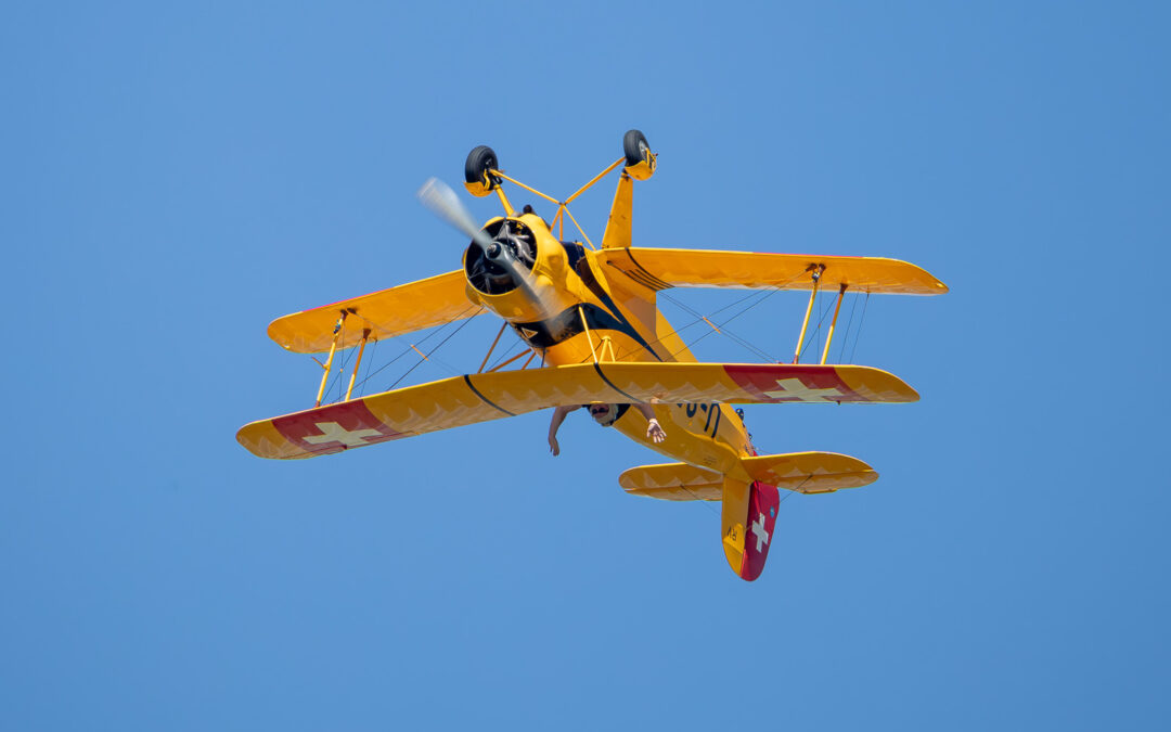 _F6A1660_Canon EOS R6m2_RF200-800mm F6.3-9 IS USMA-Enhanced-NR