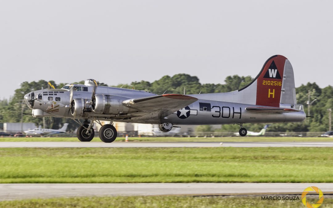 Fotografia de Aviação, com Moose Peterson